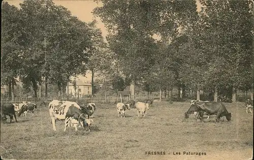 Fresnes sur Marne Les Paturages Vache Kat. Fresnes sur Marne