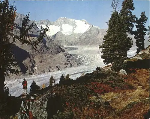 Aletschgletscher mit Aletschwald Kat. Aletsch Grosser