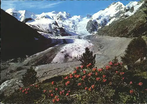 Bernina mit Morteratschgletscher Kat. Bernina