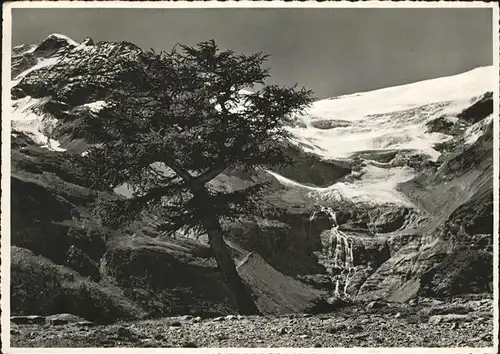 Alp Gruem mit Blick auf den Palue Gletscher Kat. Alp Gruem