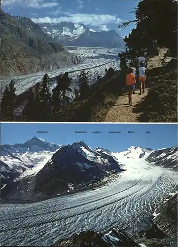 Aletschgletscher Blick vom Eggishorn auf den Grossen Aletschgletscher Kat. Aletsch Grosser