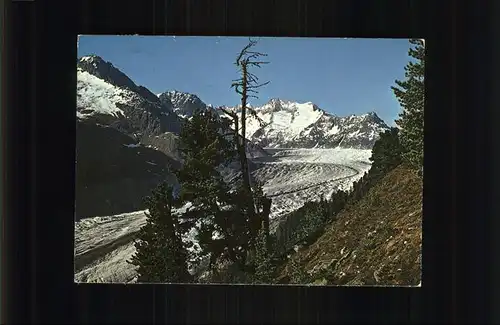 Aletschgletscher  Kat. Aletsch Grosser