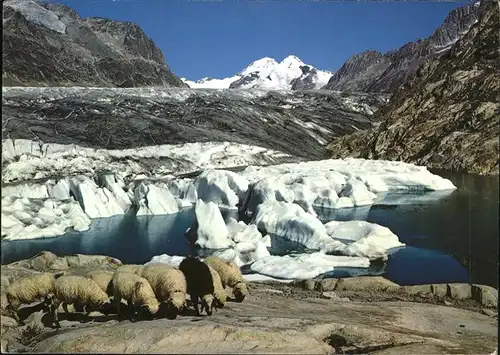 Maerjelensee  Kat. Aletsch Grosser