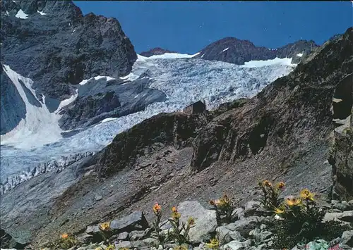 Chamonix Glacier Blanc Kat. Chamonix Mont Blanc