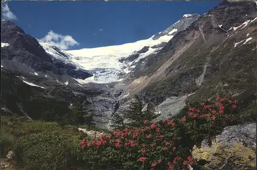 Alp Gruem Berninapass mit Paluegletscher Kat. Alp Gruem