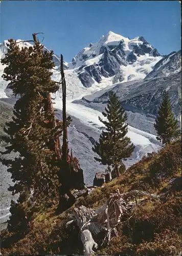 Tschierva Tschiervagletscher u.Piz Roseg Kat. Tschierva