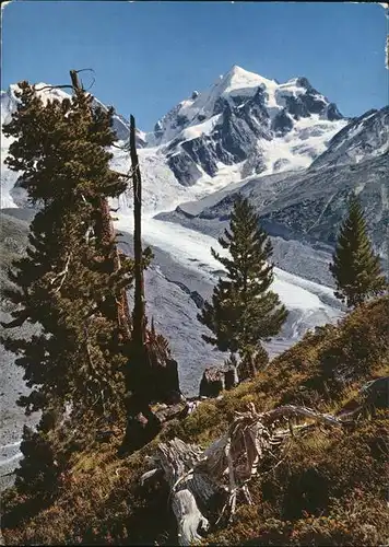 Piz Roseg mit Tschiervagletscher Kat. Piz Roseg