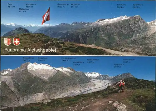 Aletschgletscher mit Aletschgebiet Kat. Aletsch Grosser