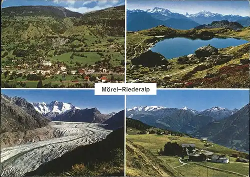 Moerel mit Riederalp Kat. Moerel