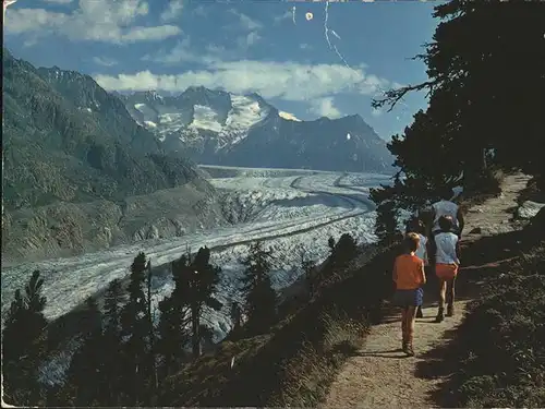 Aletschgletscher mit Aletschwald Kat. Aletsch Grosser