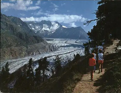 Aletschgletscher mit Aletschwald Kat. Aletsch Grosser