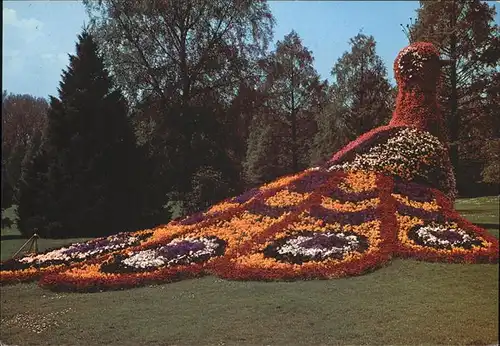 Insel Mainau Der Blumenpfau Kat. Konstanz