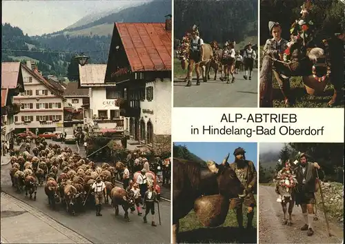 Hindelang Alp Abtrieb Kat. Bad Hindelang