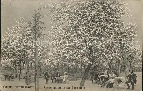 Hermannsdorf Gasthof Zur Ratte Konzertgarten Baumbluete Kat. Illschwang