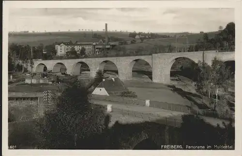 Freiberg Panorama Muldental Kat. Freiberg