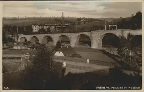 Freiberg Panorama Muldental Kat. Freiberg