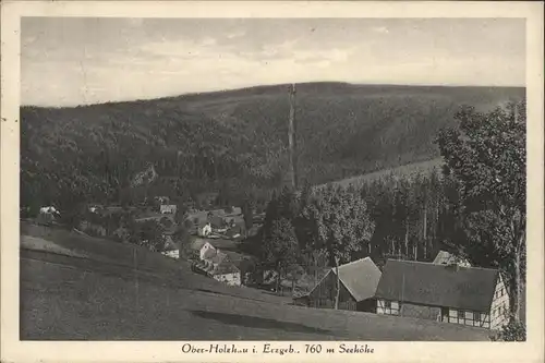 Oberholzhau  Kat. Rechenberg Bienenmuehle