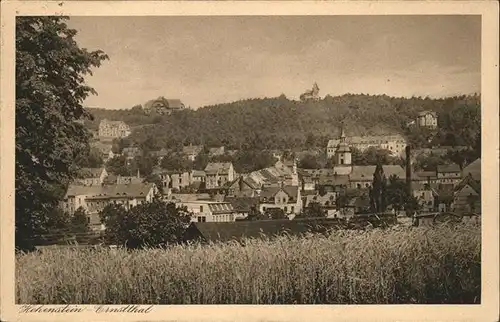 Hohenstein Ernstthal Panorama Kat. Hohenstein Ernstthal