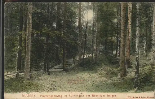 Rochlitz Sachsen Promenadenweg im Buchenhain Kat. Rochlitz