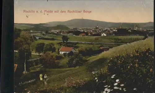 Rochlitz Sachsen Panorama Kat. Rochlitz