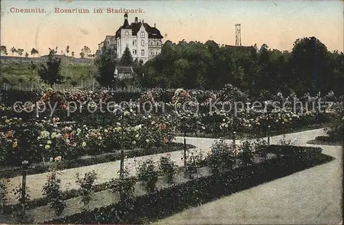 Chemnitz Rosarium im Stadtpark Kat. Chemnitz