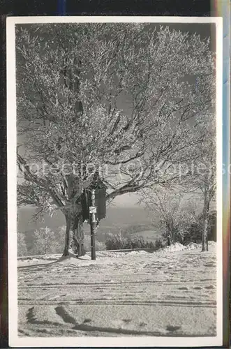 Miesbach Waldgebiet mit Kreuz im Winter Kat. Miesbach