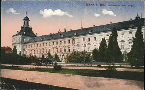 Bonn Rhein Universitaet Pferdewagen / Bonn /Bonn Stadtkreis