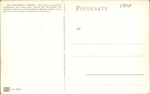 Kamp Bornhofen Rheinpanorama mit Feindliche Brueder Burgruine Liebenstein und Sterrenberg Kuenstlerkarte Kat. Kamp Bornhofen