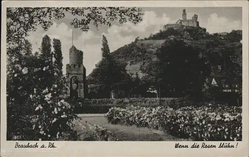 Braubach Rhein Panorama / Braubach /Rhein-Lahn-Kreis LKR