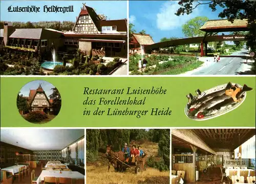 Walsrode Lueneburger Heide Restaurant Luisenhoehe Heidjergrill Forellenlokal Vogelpark Kutschfahrt Kat. Walsrode