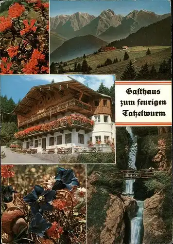 Bayrischzell Althistorischer Alpengasthof "Zum feurigen Tatzlwurm" Wasserfall Alpenblumen Alpenpanorama Kat. Bayrischzell