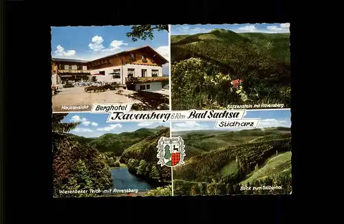 Bad Sachsa Harz Berghotel Ravensberg Katzenstein Wiesenbeker Teich Stoeberhai Wappen Kat. Bad Sachsa