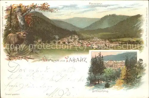Tabarz Panorama Schiesshaus Kat. Tabarz Thueringer Wald