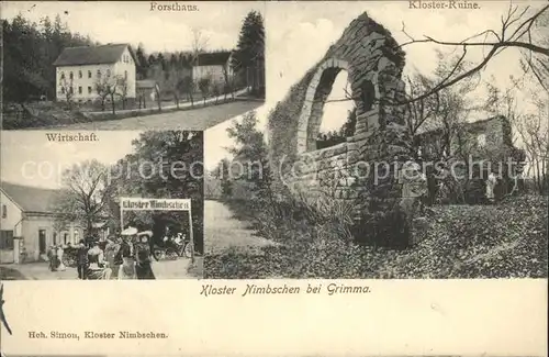 Grimma Kloster Nimbschen Ruine Forsthaus Wirtschaft Kat. Grimma