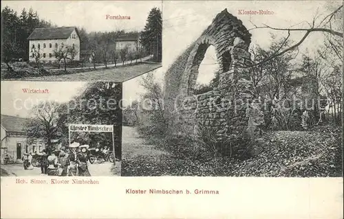 Grimma Kloster Nimbschen Ruine Forsthaus Wirtschaft Kat. Grimma