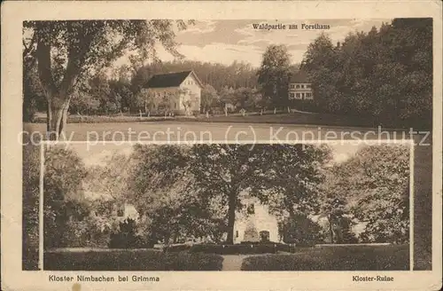 Grimma Kloster Nimbschen Ruine Forsthaus
 Kat. Grimma