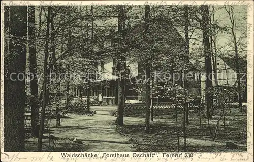 Oschatz Waldschaenke Forsthaus Oschatz Kat. Oschatz