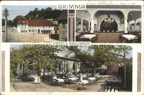 Grimma Vogels Ballhaus Speisesaal Gartenwirtschaft Kat. Grimma