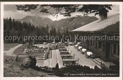 Rottach Egern Kaffee Alpenwildpark Terrasse Hirschberg Bayerische Voralpen Kat. Rottach Egern