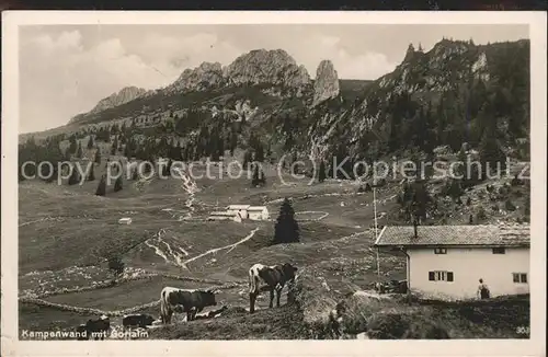 Aschau Chiemgau Gorialm mit Kampenwand Kuehe Chiemgauer Alpen Kat. Aschau i.Chiemgau