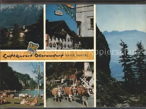 Oberaudorf Teilansichten Badestrand Viehtrieb Kuehe Wappen Alpenpanorama Bayerische Alpen Kat. Oberaudorf
