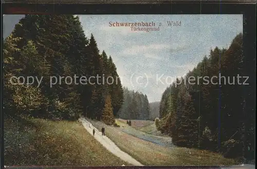 Schwarzenbach Wald Tuerkengrund Kat. Schwarzenbach a.Wald