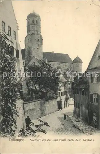 Dillingen Donau Vorstadtstrasse mit Blick zum Schloss Kat. Dillingen a.d.Donau