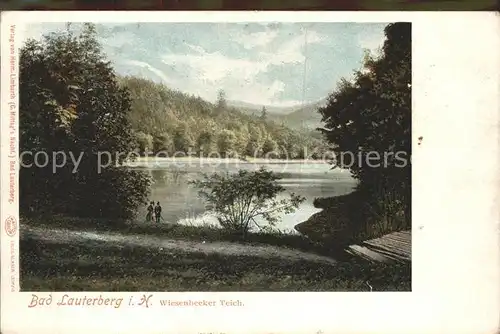 Bad Lauterberg Wiesenbecker Teich Kat. Bad Lauterberg im Harz