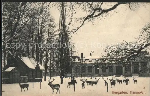 Hannover Tiergarten Hirsche Kat. Hannover