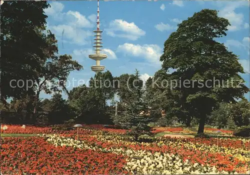 Hamburg Ausstellungspark Planten un Blomen mit Fernsehturm Kat. Hamburg
