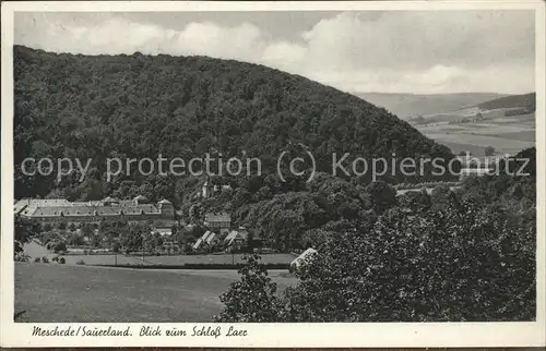 Meschede Blick zum Schloss Laer Kat. Arnsberg