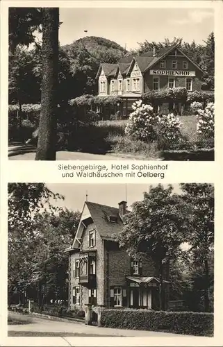 Koenigswinter Siebengebirge Hotel Sophienhof und Waldhaeuschen mit Oelberg Kat. Koenigswinter