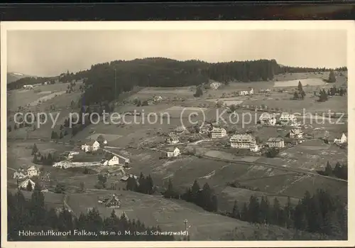 Falkau  Kat. Feldberg (Schwarzwald)