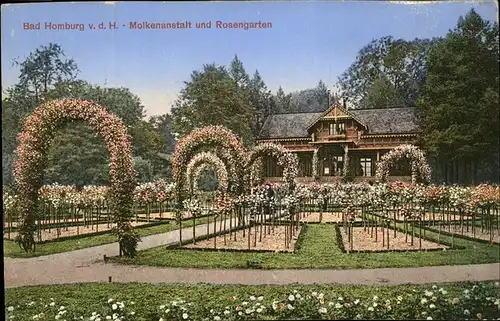 Bad Homburg Hoehe Molkenanstalt und Rosengarten Kat. Bad Homburg v.d. Hoehe